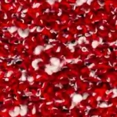 Red fabric texture with white accents, chaotic overlapping pattern, subtle inscription “swan > fabric (h) > h 631”, diffused lighting.